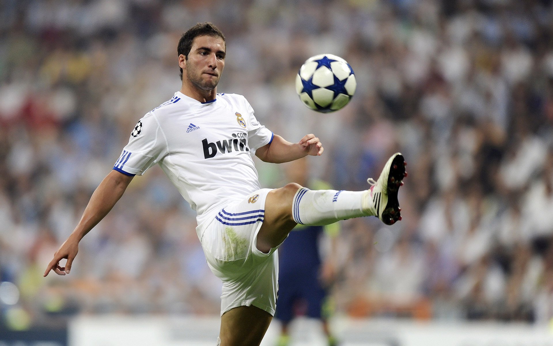 法拉利横扫阿斯顿马丁，汉密尔顿刷新纪录，速度与传奇的交汇